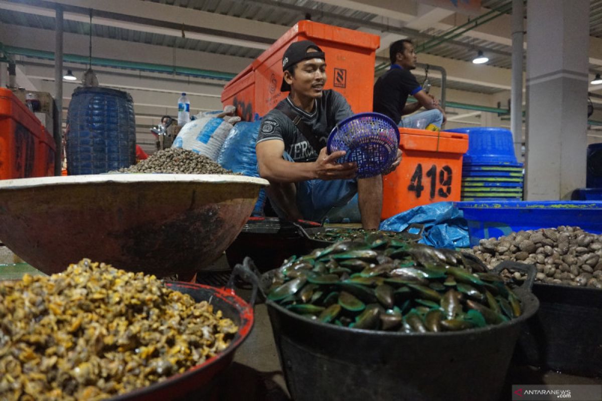 Riau mengekspor empat ton kerang ke Thailand