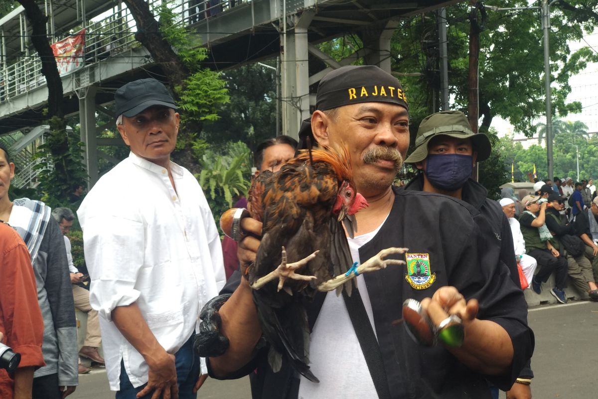 Aksi debus jawara Banten hibur pengunjuk rasa di Patung Kuda, Jakarta