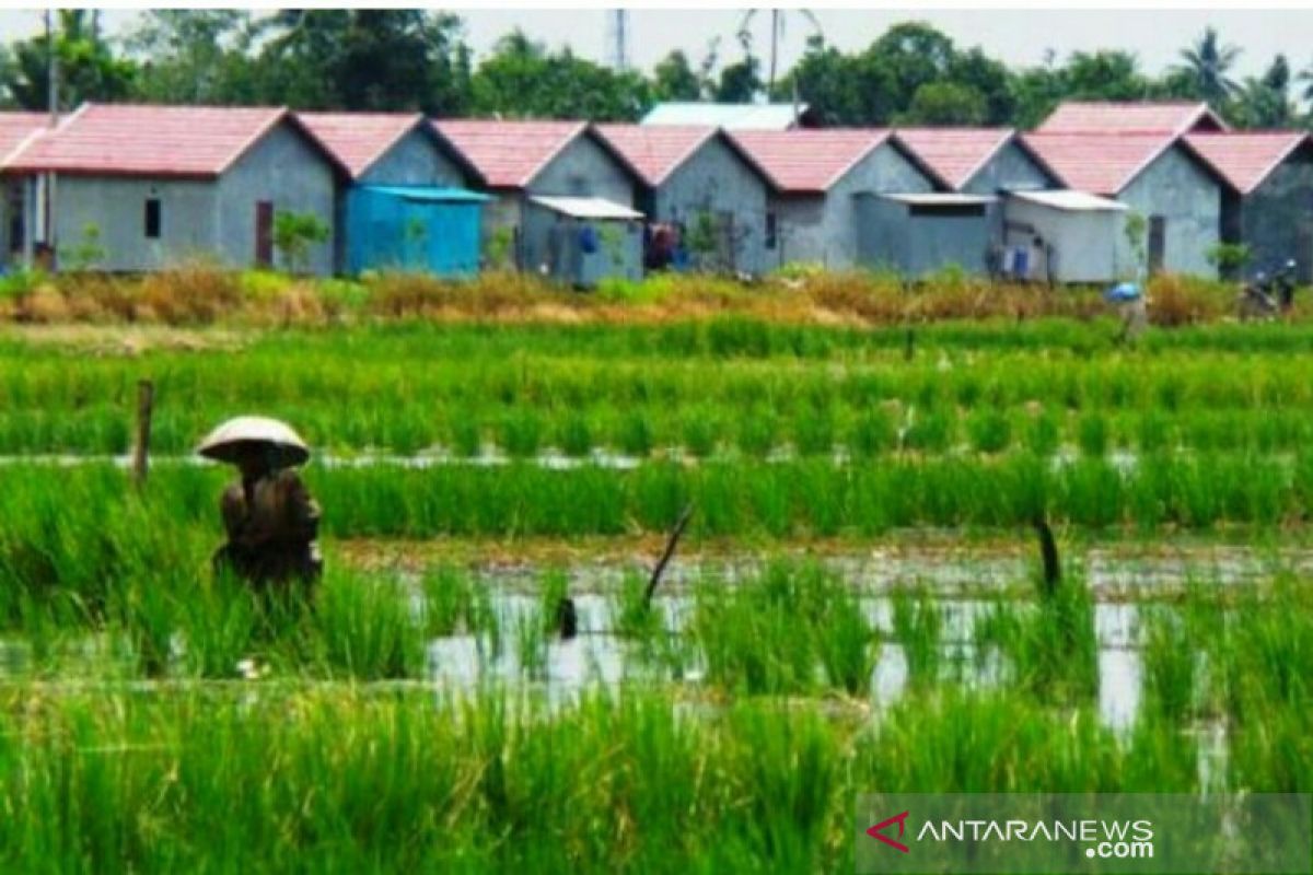 Pemda tak bisa batalkan alih fungsi lahan pertanian