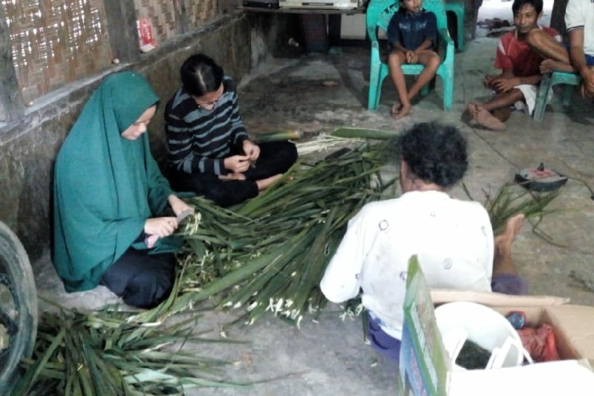 Daun kelapa sawit bisa dijadikan antimalaria tim mahasiswa Unimed