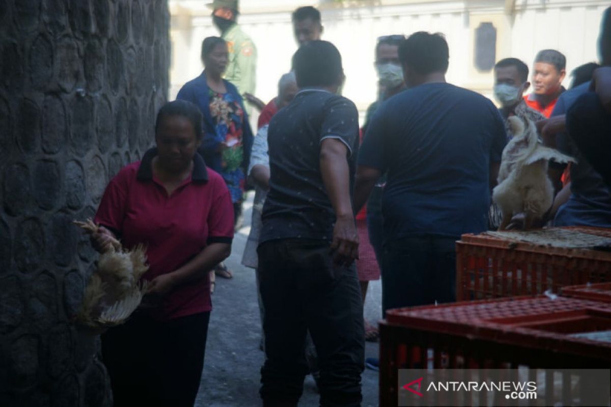 Jateng kelebihan pasokan ayam capai 30 persen