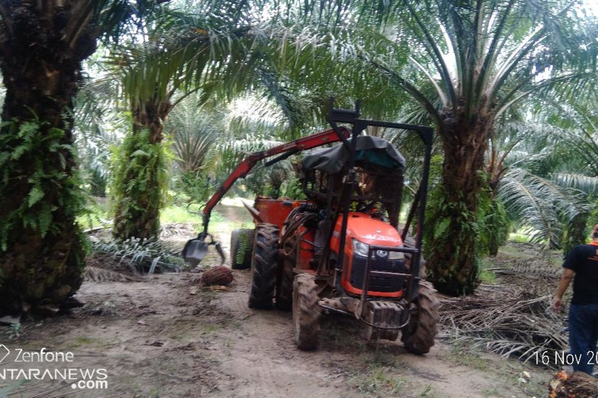 Kementerian ATR : HGU punya kekuatan hukum dalam pengelolaan usaha perkebunan