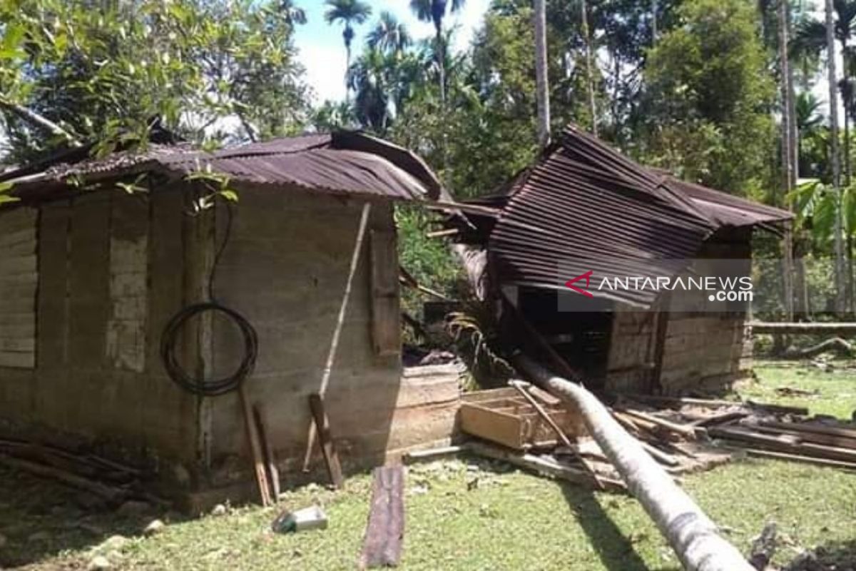 12 ekor gajah mengamuk rusak rumah warga di Nagan Raya