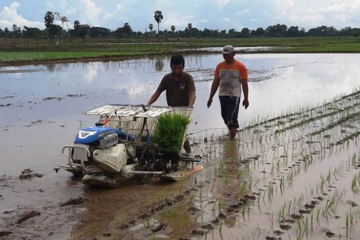 Alsintan, cara pemerintah kembangkan pertanian modern