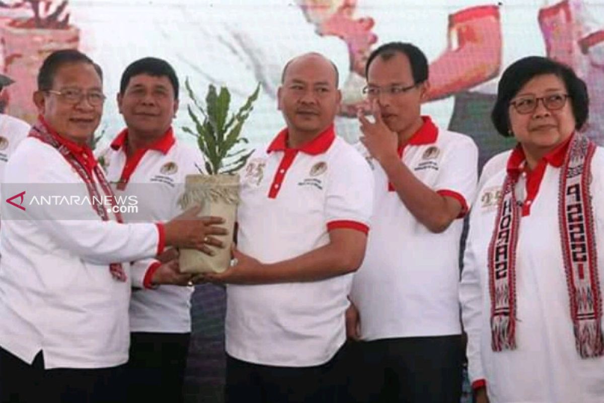 Tanaman Macadamia untuk rehabilitasi lahan kritis Danau Toba