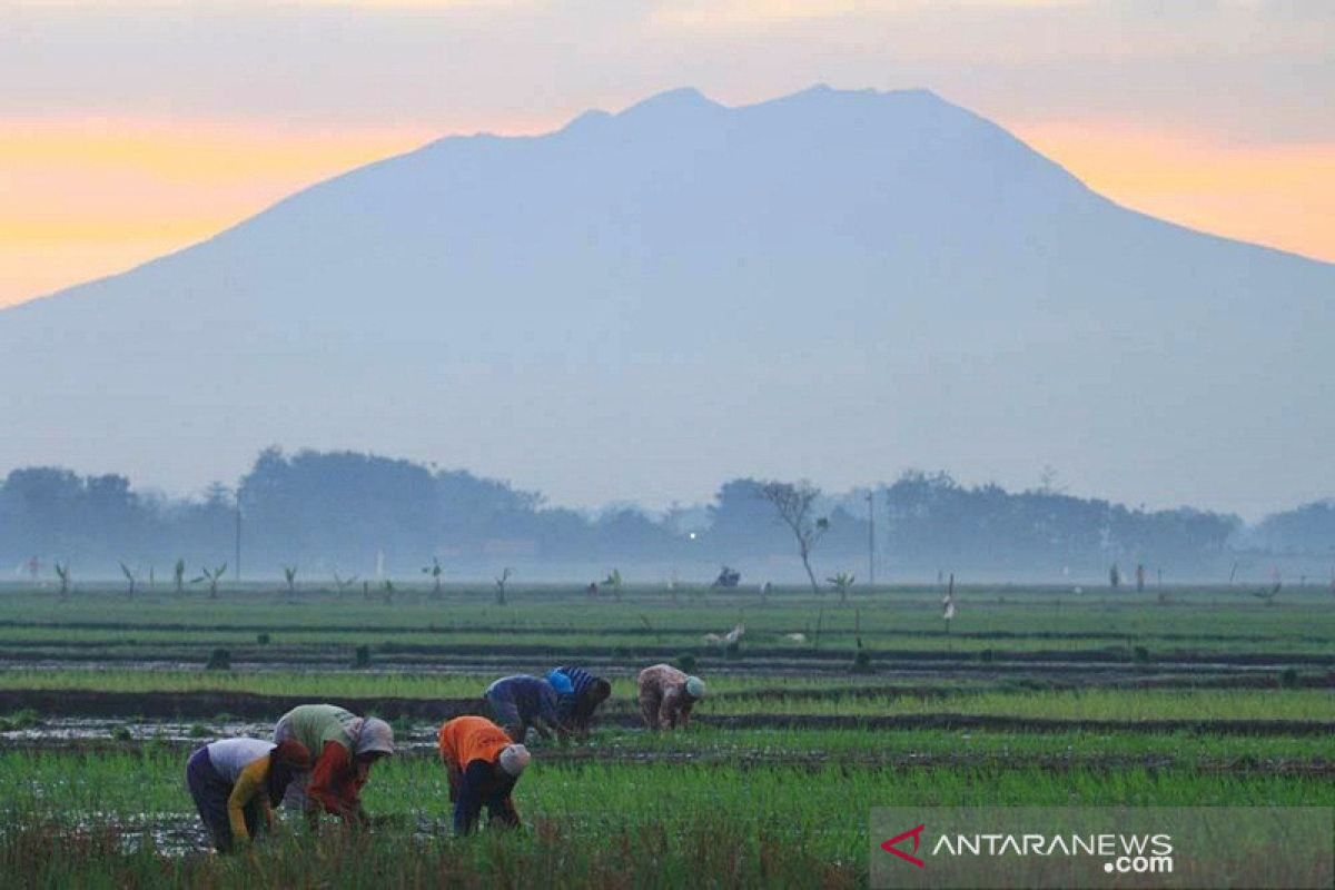 Pendaki diminta  mengantisipasi  suhu dingin ekstrem puncak Lawu