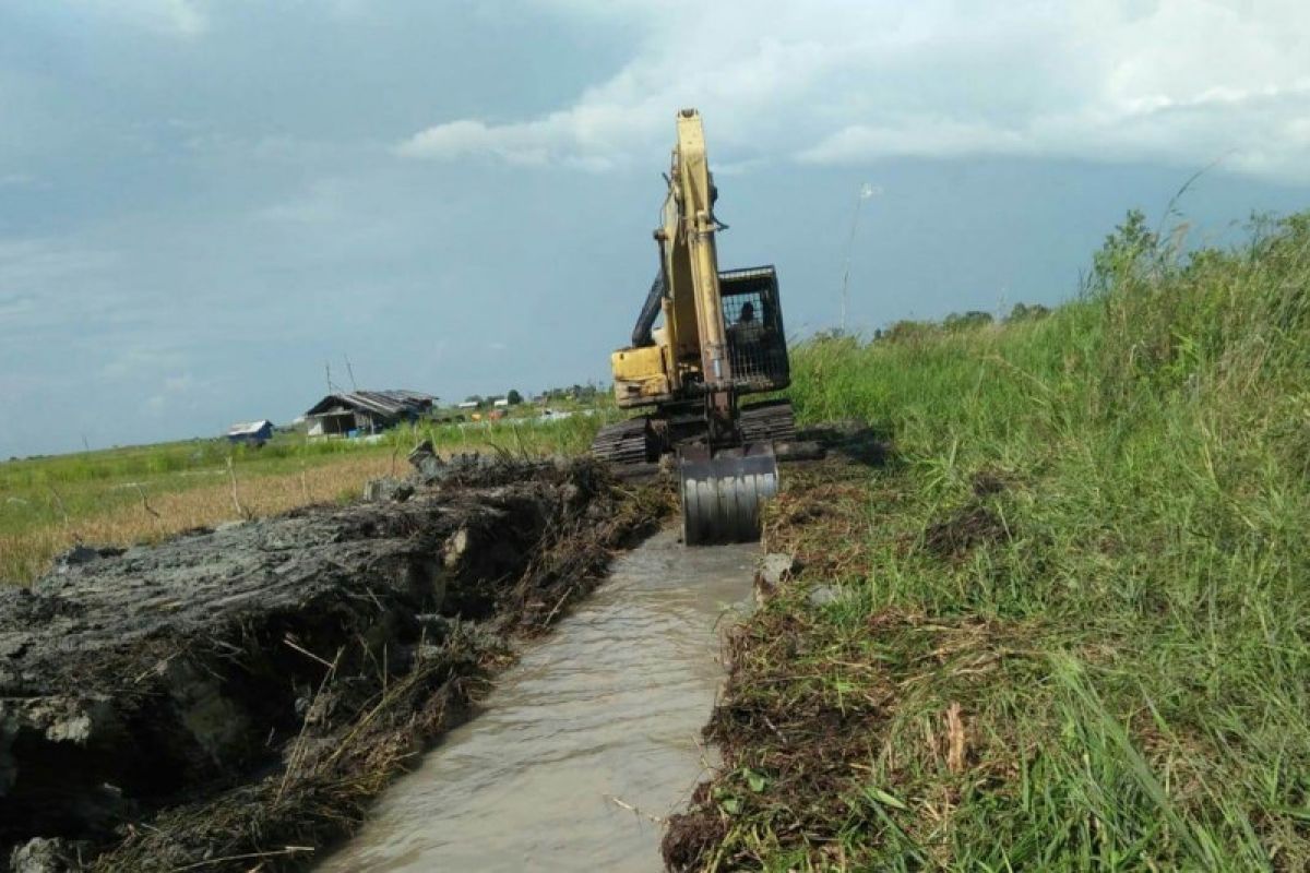 Mentan sebut lahan rawa jadi tumpuan produksi pangan masa depan