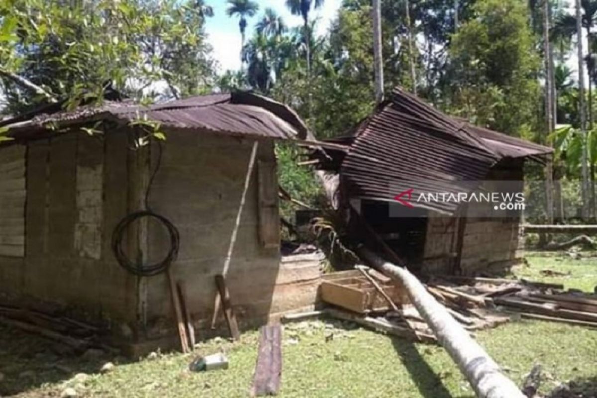 12 elephants go on rampage destroyed houses in Aceh