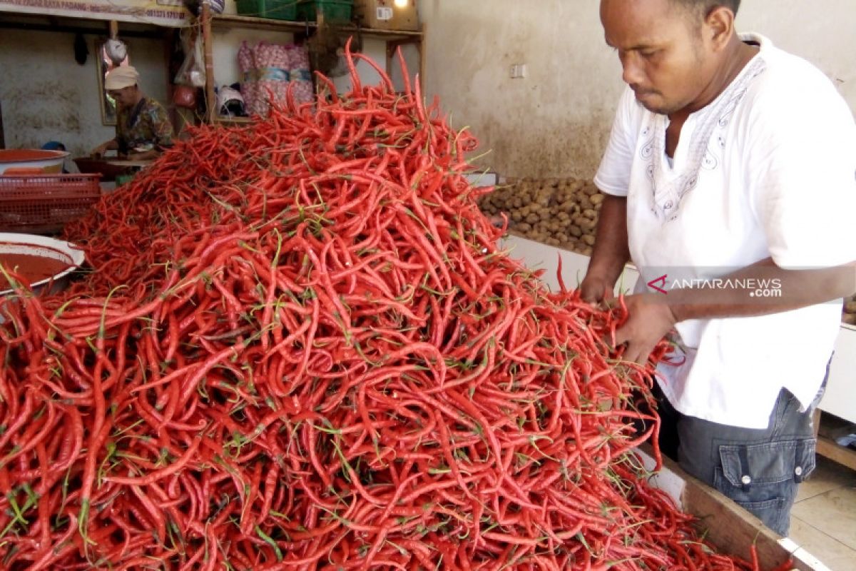 Harga cabai merah di Palembang capai Rp80.000/Kg