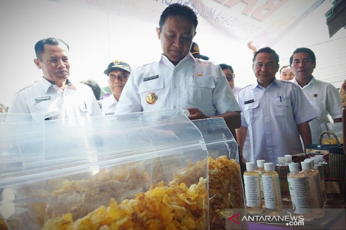 Pemkab Pulang Pisau dorong pengembangan inovasi desa