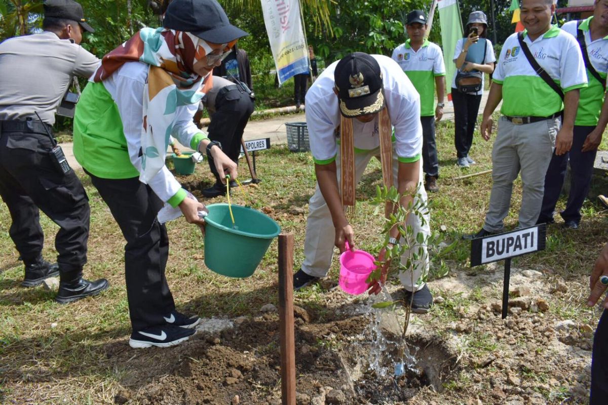 Bupati Sintang tanam pohon peringati hari lingkungan hidup