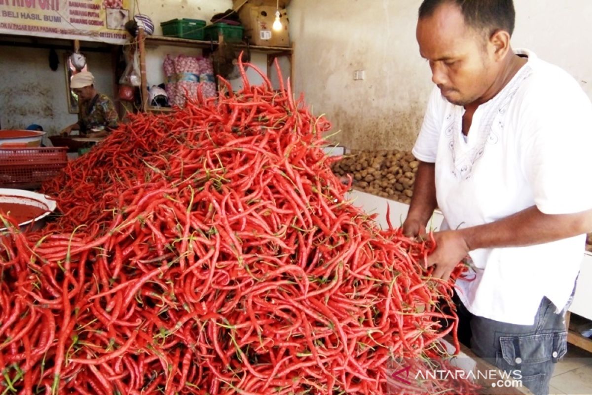 Harga cabai merah turun di Pasar Raya Padang