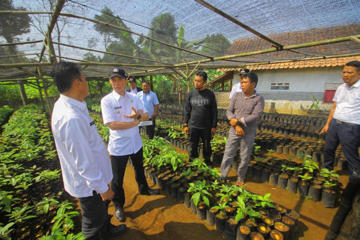 Dedie Rachim ingin Kampung Alpukat di Pabuaran jadi wisata edukasi