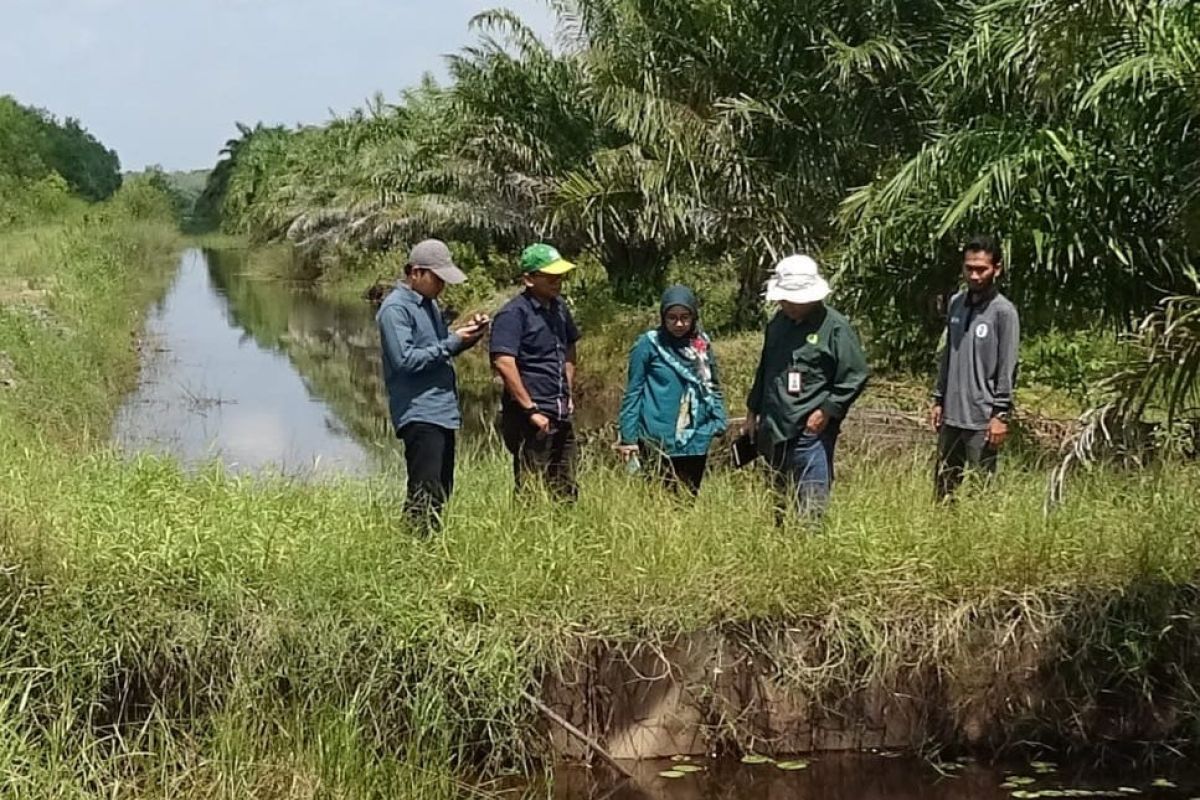 BRG: Sekat kanal berbasis karet alam efektif jaga gambut