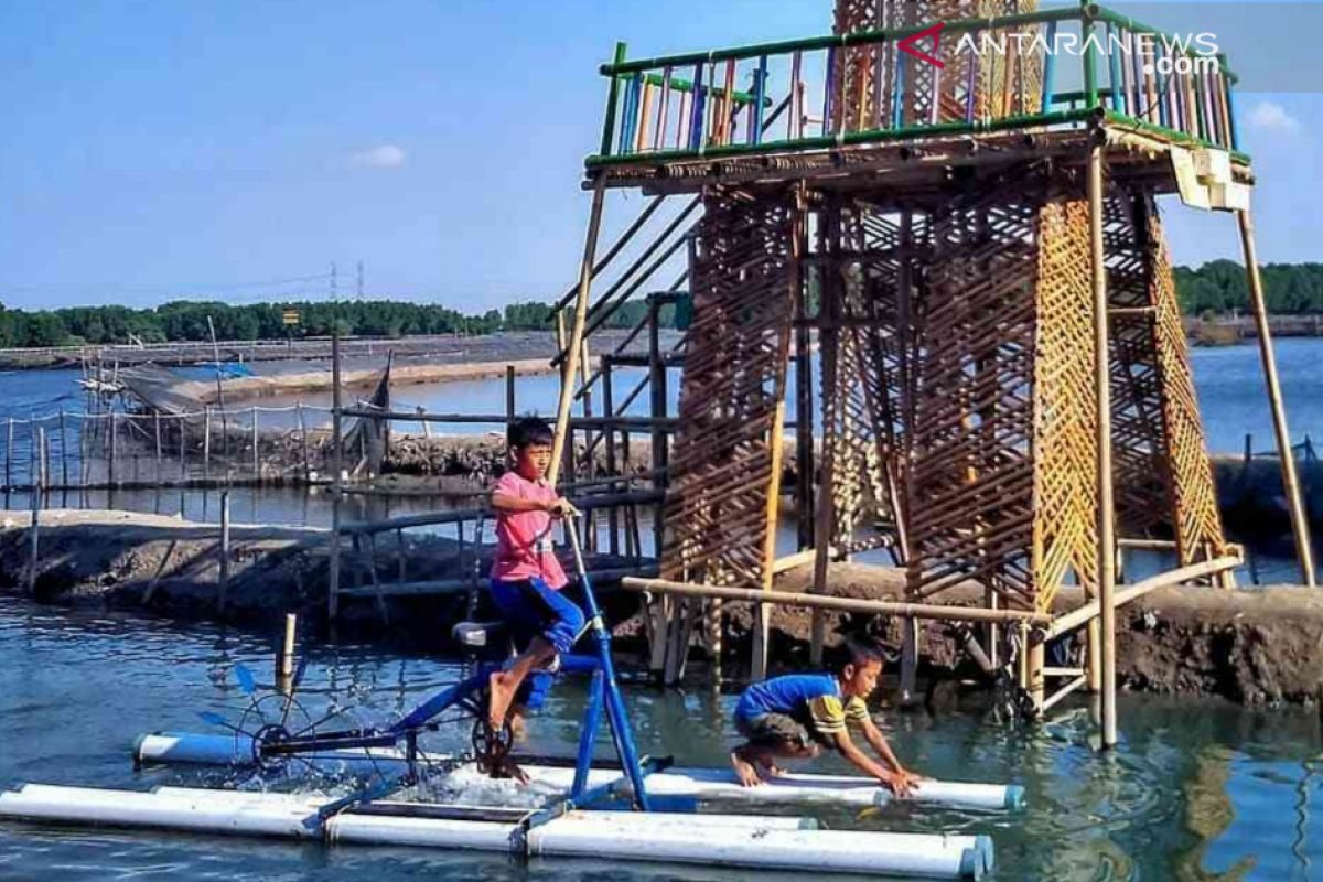 Nikmati panorama hutan mangrove sambil bersepeda di Sungai Jingkem Bekasi