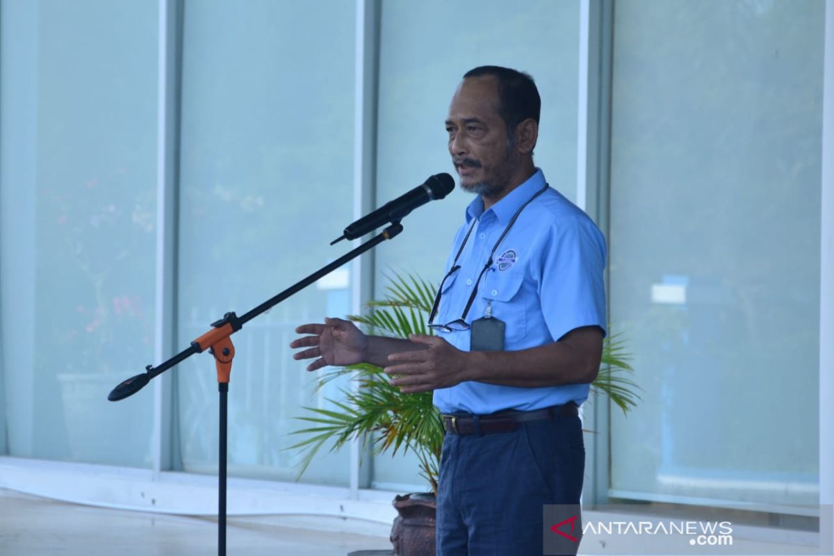 Pemerintah Aceh akan bangun pabrik pengolahan tepung di  Sabang