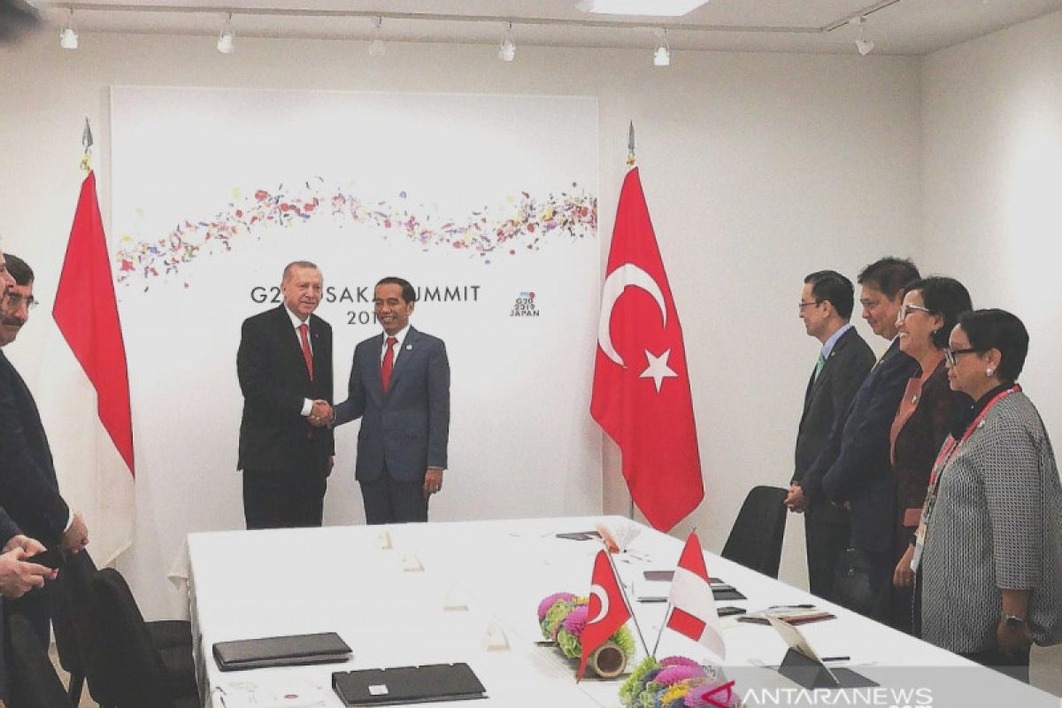 Indonesia-Turkey meeting discusses plans for Erdogan's Indonesia visit