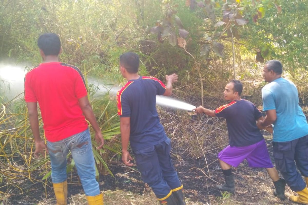 Rumpun bambu ludes terbakar di Bireuen