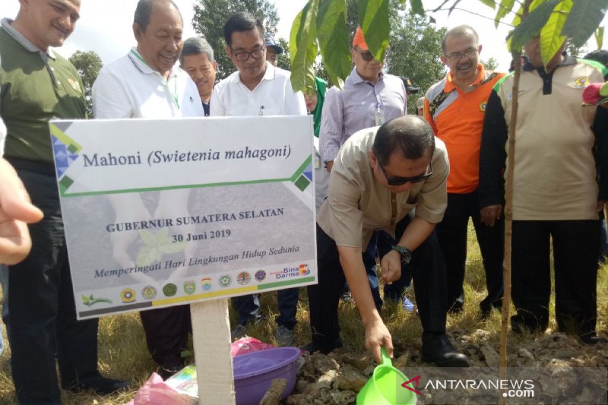 Ikadil Unsri tanam 2.000 pohon ajak jaga udara bersih