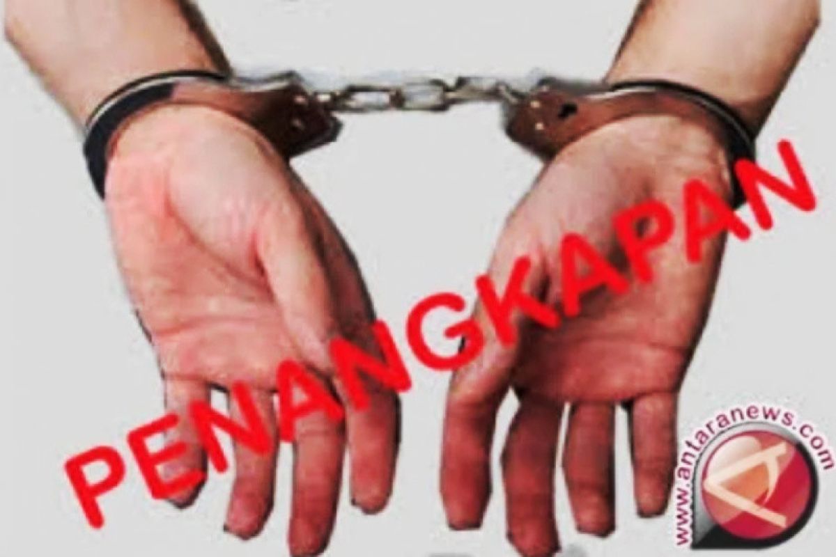 Polisi  tangkap kakak-adik pelaku pencurian