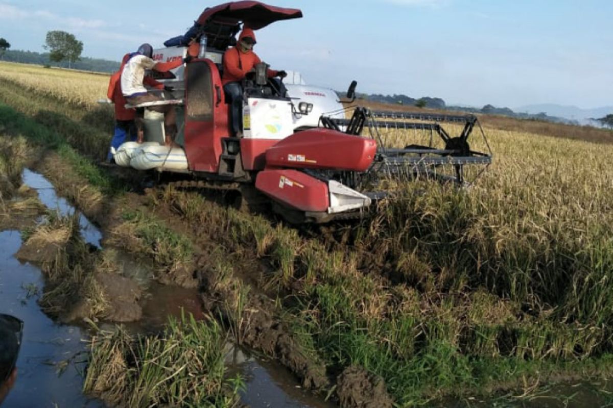 Modernisasi sistem genjot produksi pertanian Jateng