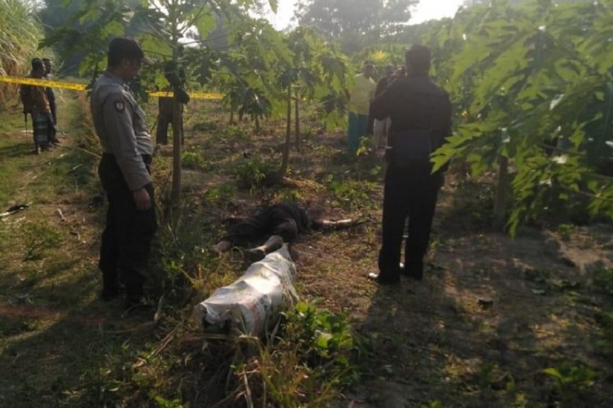 Polisi masih selidiki temuan pria meninggal di kebun pepaya