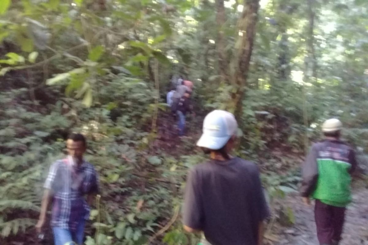 Seorang warga Agam dilaporkan hilang saat mencari kayu bakar di hutan