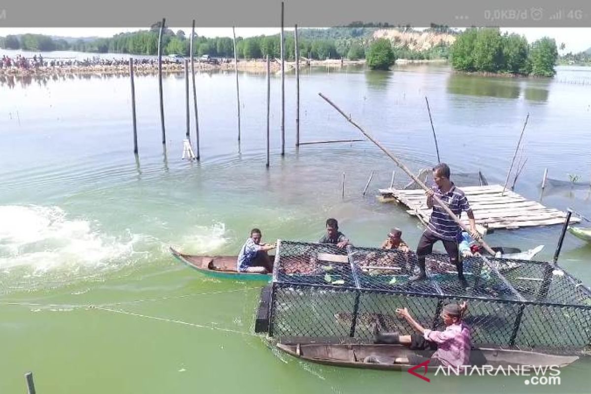 Buaya pemangsa warga Aceh Jaya dikandangkan BKSDA