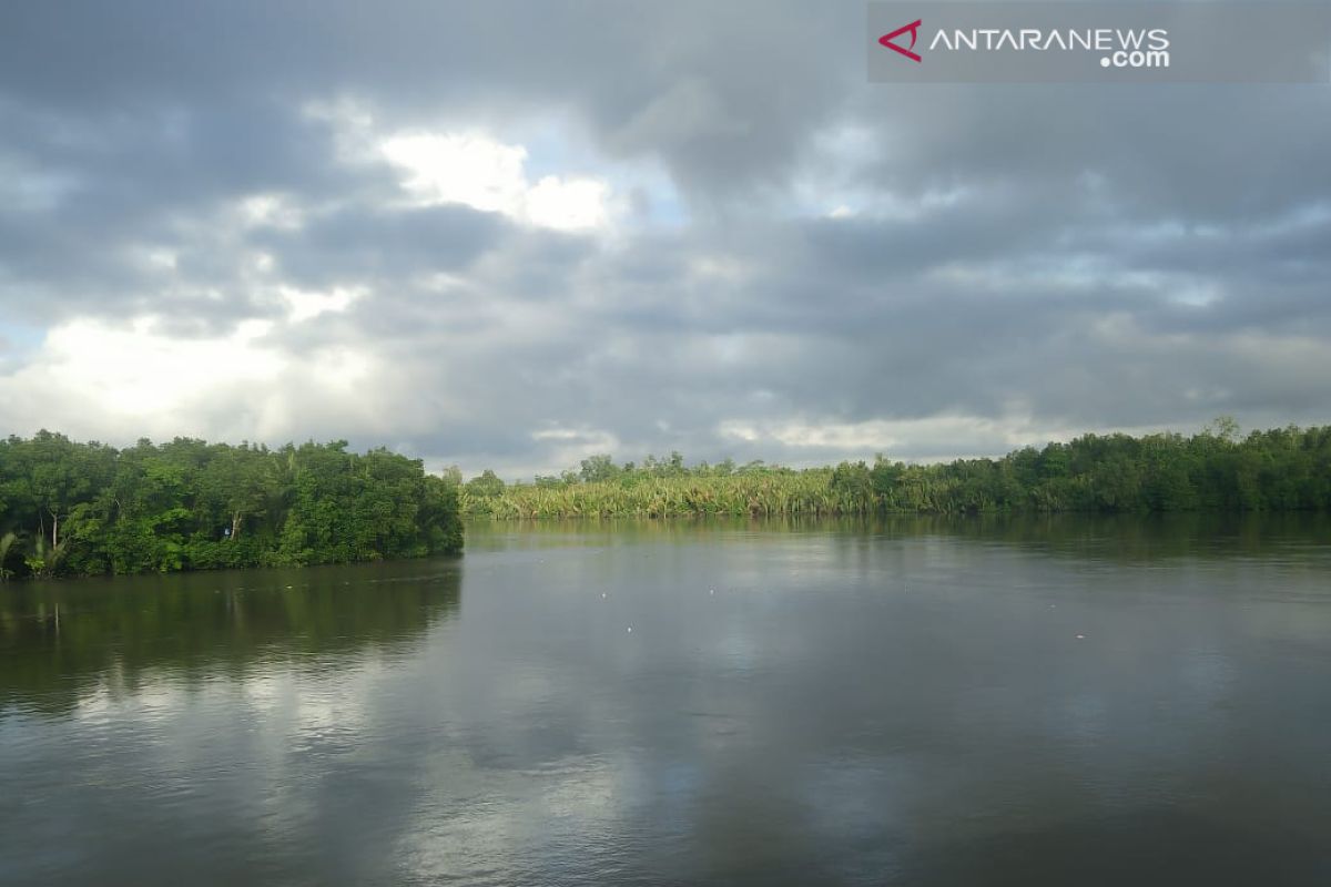 Papua Barat upayakan 70 persen kawasan hutan konservasi