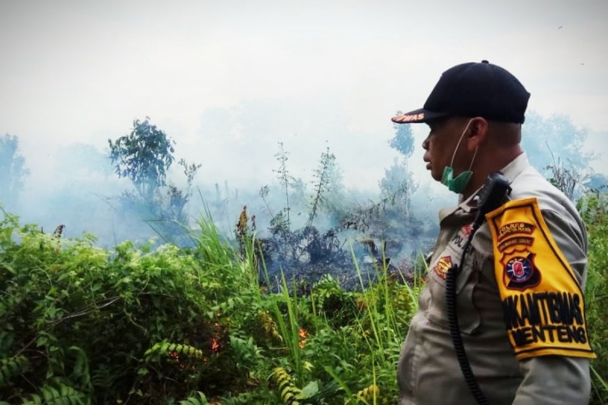 Polda tangkap empat tersangka pembakar lahan