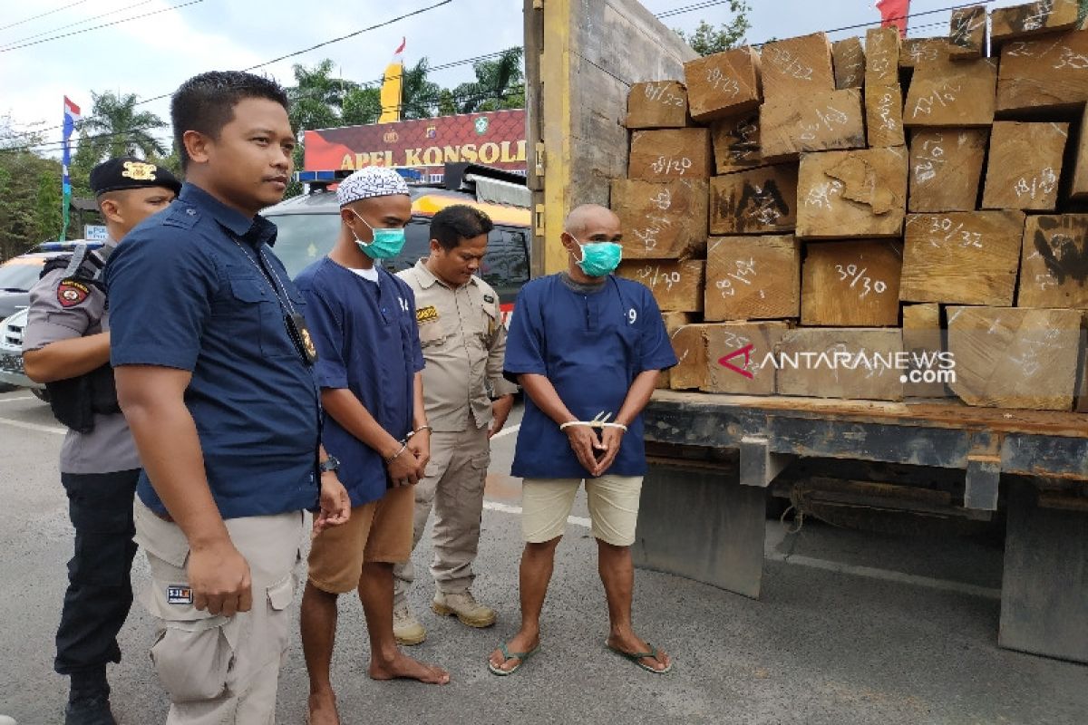 Dihadang massa, Polda Riau sita kayu pembalakan liar SM Rimbang Baling