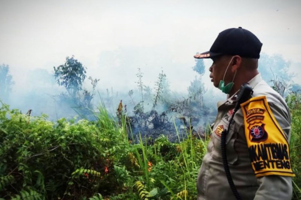 Warga Palangka Raya mulai cium asap karhutla