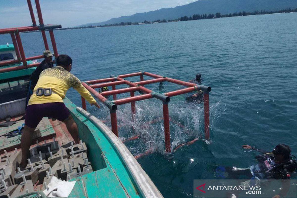 Perusahaan tambang tanam terumbu karang di laut Abdya