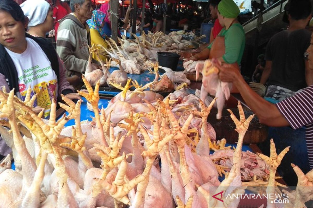 Harga ayam potong melambung hingga Rp29.000/kg di Pekanbaru