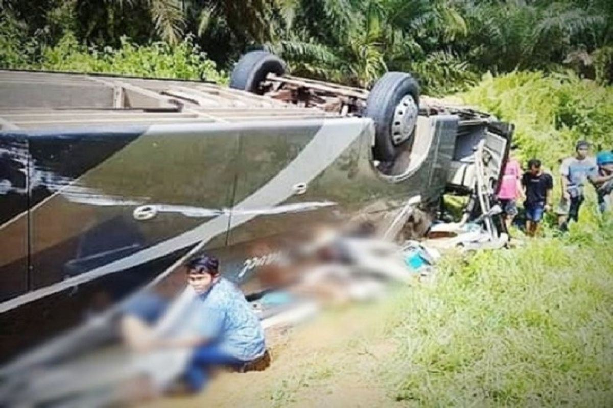 Bus rute Pontianak-Sampit terbalik di Lamandau menewaskan tiga orang