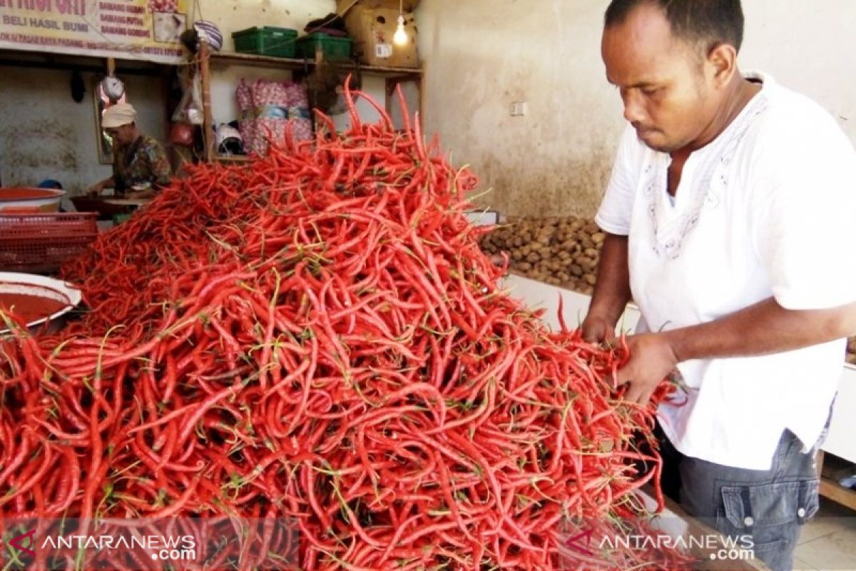 Cabai merah jadi penyumbang inflasi tertinggi di Padang