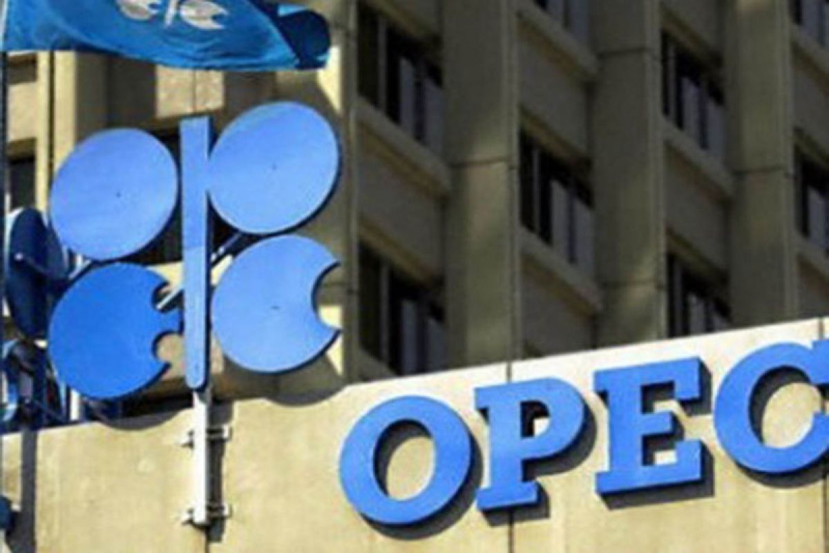 Panel OPEC+ sarankan pemangkasan produksi minyak diperpanjang terkait wabah virus corona