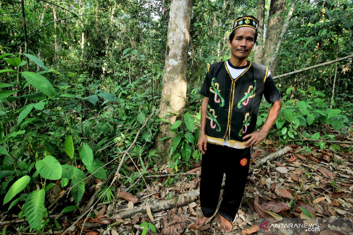 Hutan dan Masyarakat Adat Seberuang