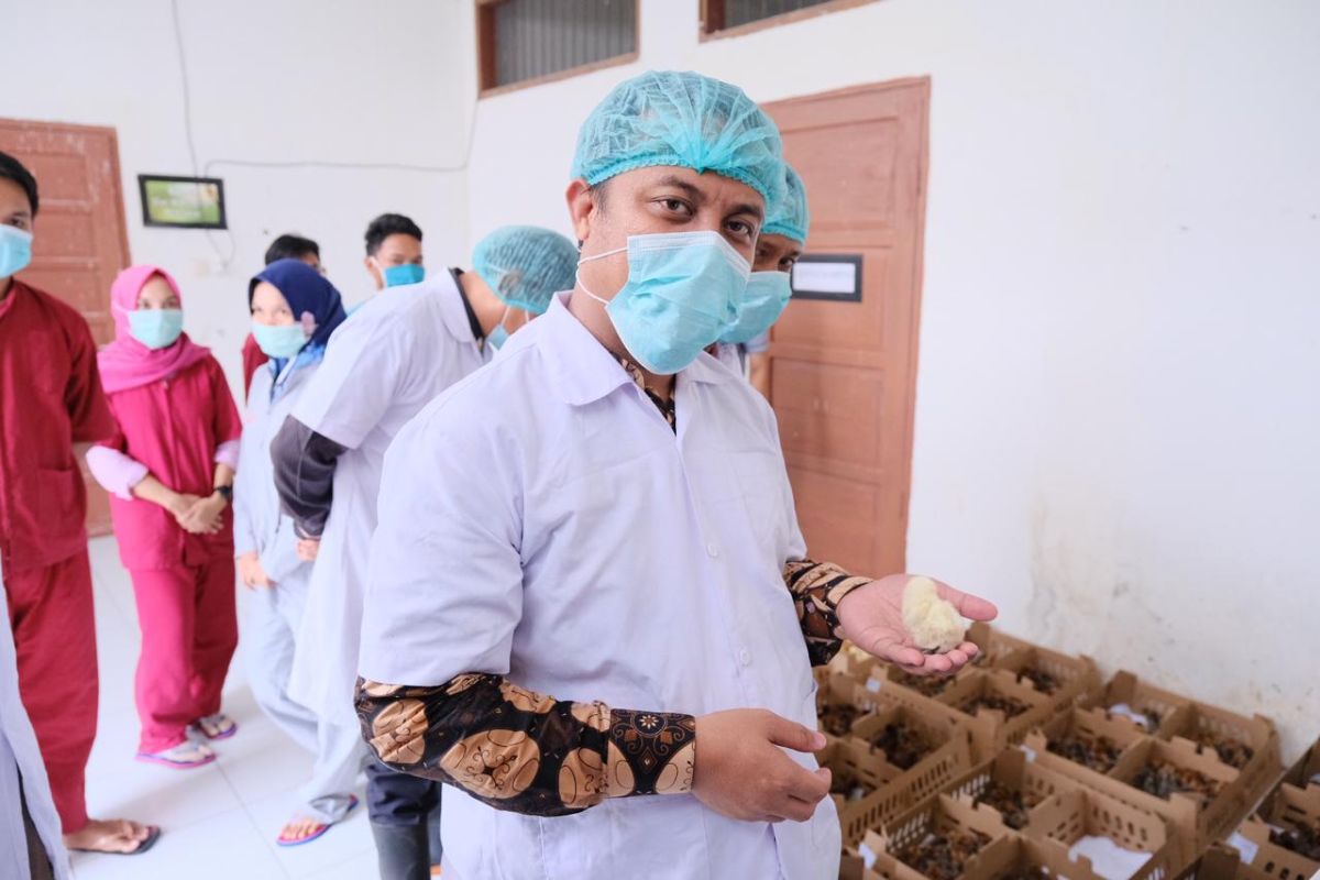 Wagub Sulsel dorong UPTD Pembibitan Ternak Palopo tingkatkan produksi