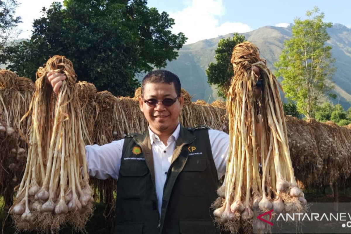 Kementan kembangkan korporasi pertanian di kaki Gunung Rinjani