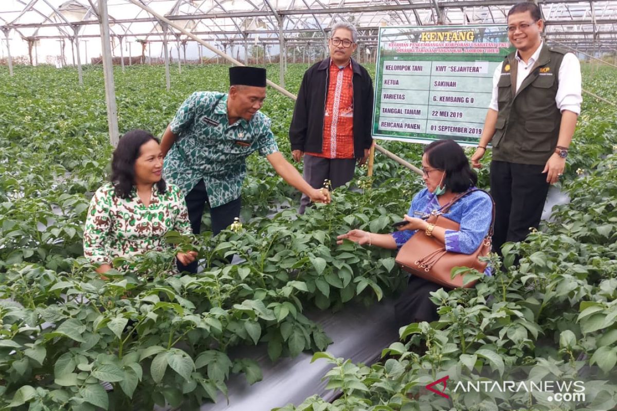 Kementan ingin semangat petani Sembalun NTB bangkit lewat korporasi