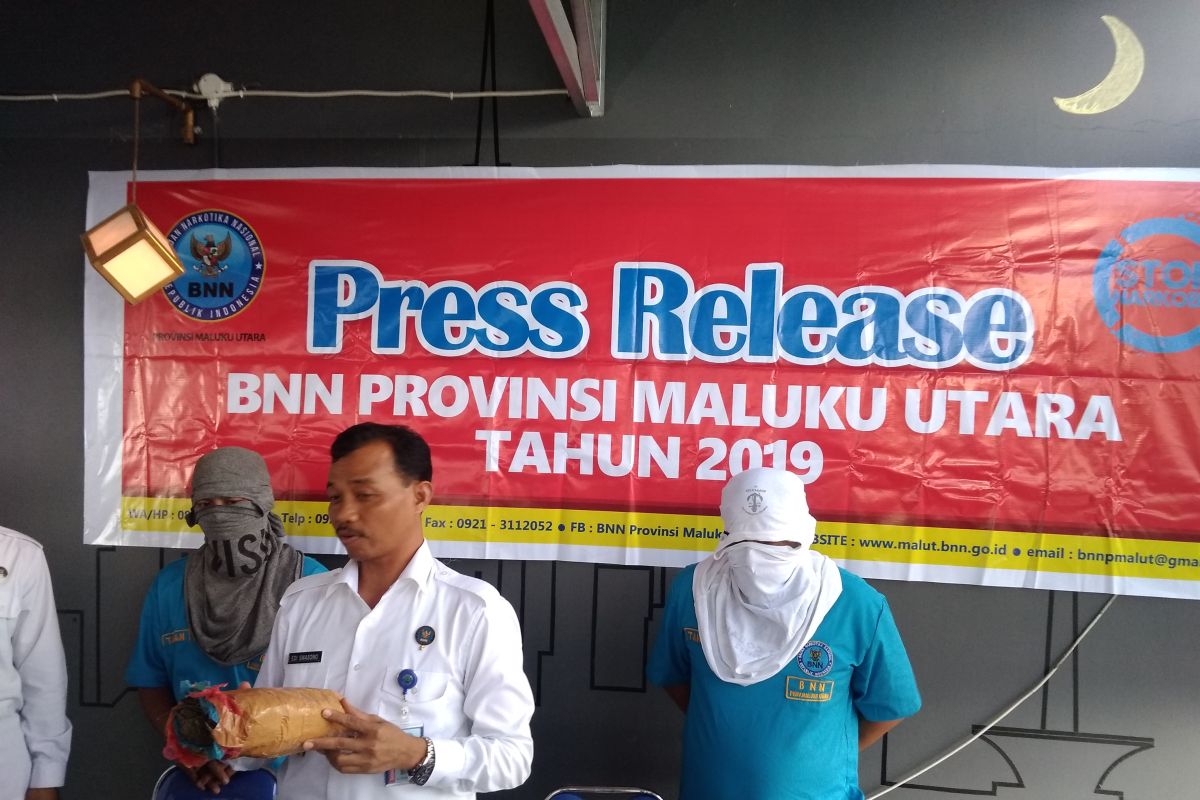 BNNP Malut bekuk kurir perima paket ganja asal Medan