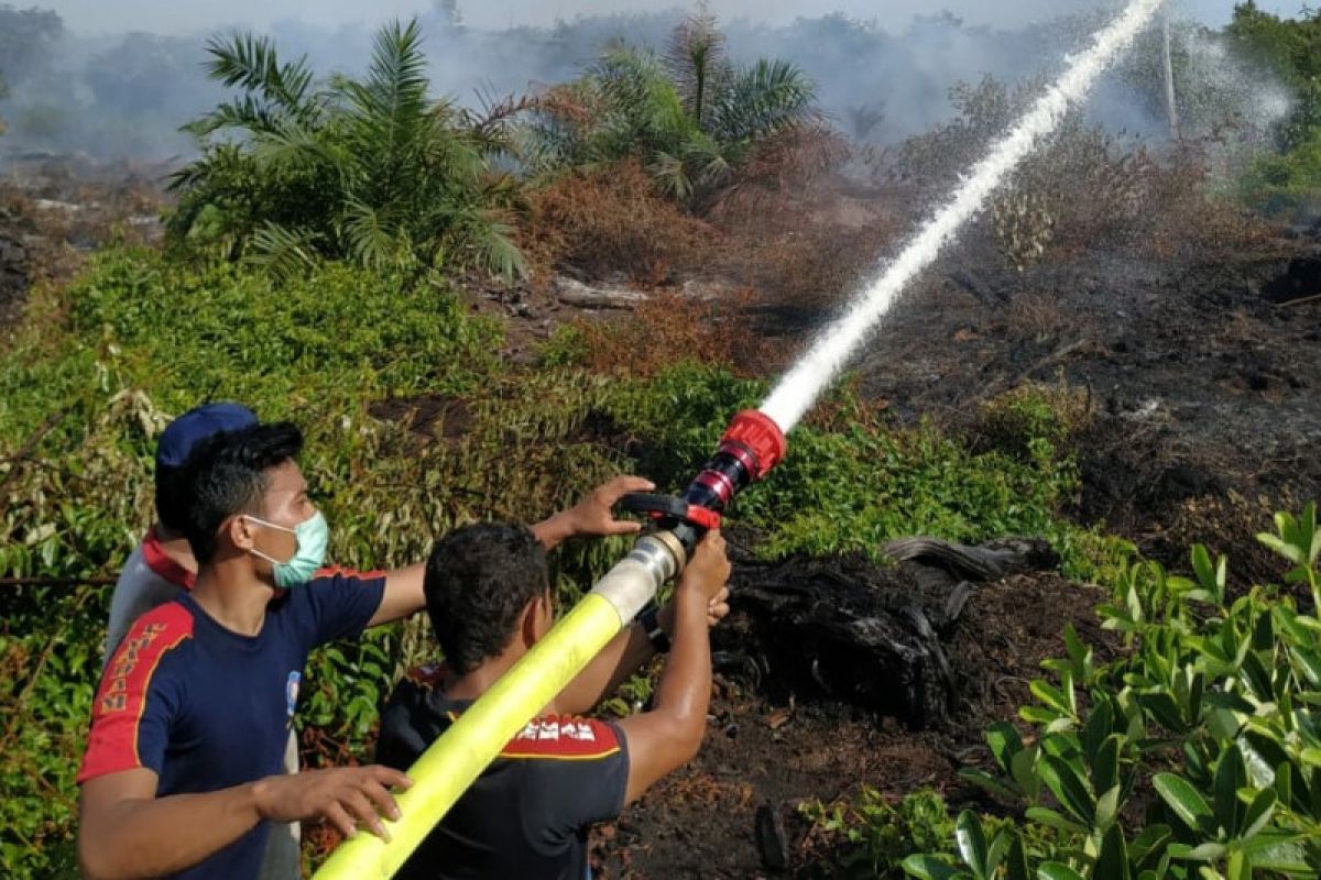 20 hektare lahan kebun sawit terbakar di Abdya