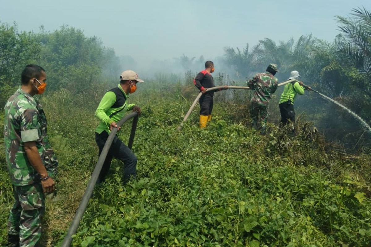 12 hektare kebun sawit di Nagan Raya terbakar