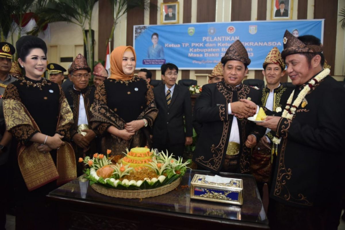 Sawah rawa lebak potensi Banyuasin kembangkan pertanian Sumsel