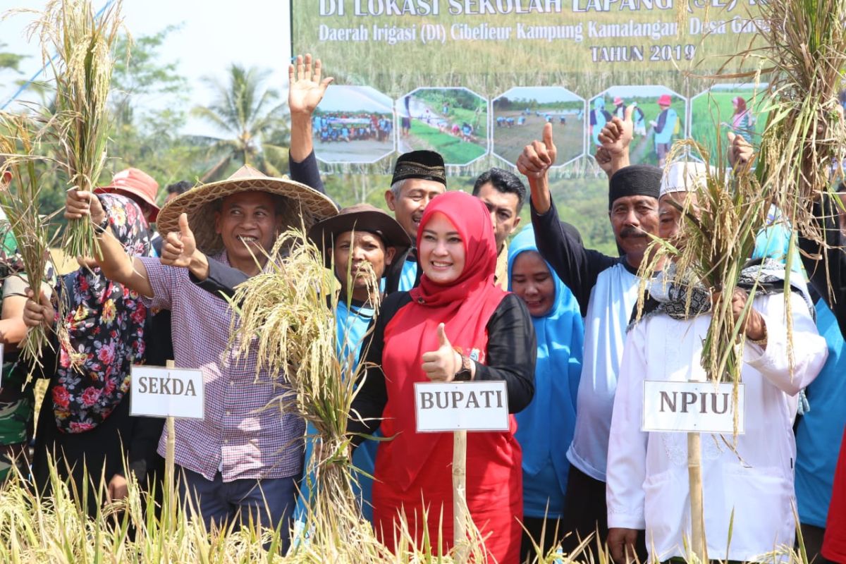 IPDMIP diharapkan dorong kemandirian pangan Pandeglang