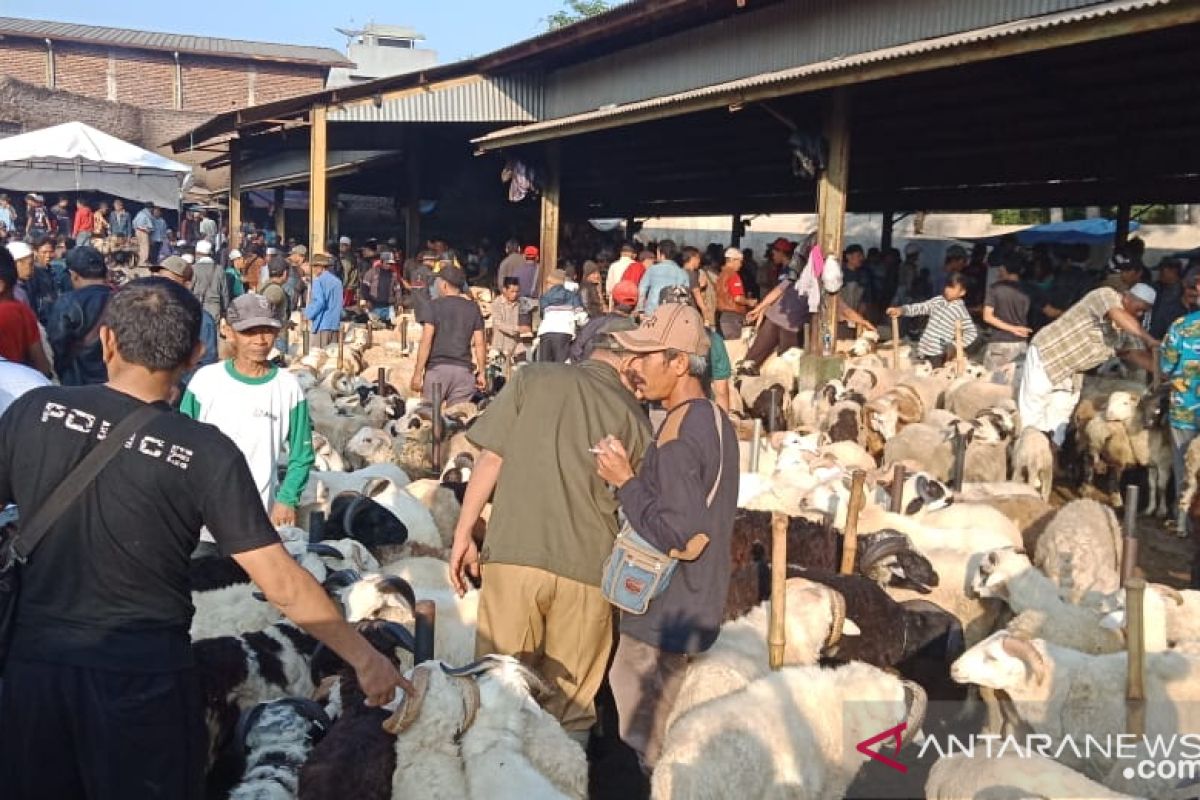 Pemkot Palembang imbau warga beli hewan kurban  bersurat sehat