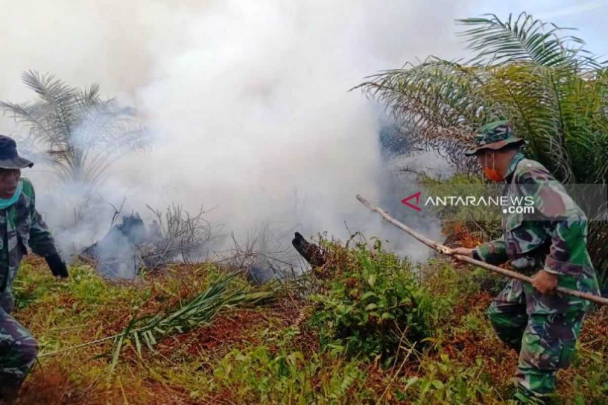 Karhutla di Nagan Raya capai 20 hektare, tim berupaya padamkan