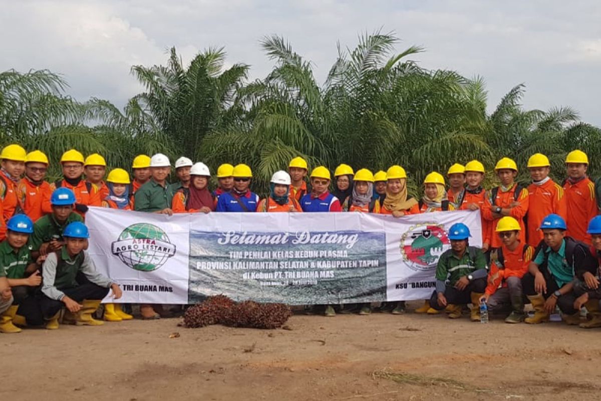 Walau zona hijau, anak usaha Astra Agro tetap terapkan protokol COVID-19