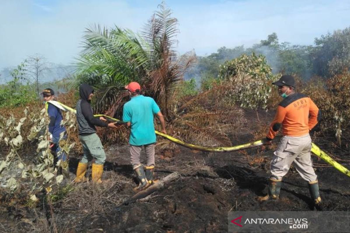 Tim BPBK Abdya kesulitan padamkan api di lahan sawit